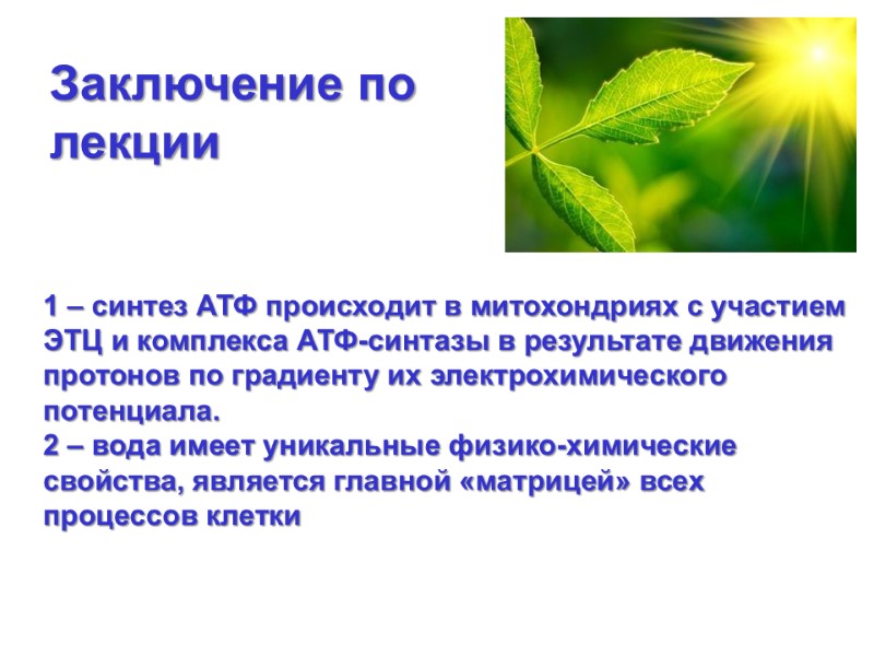 1 – синтез АТФ происходит в митохондриях с участием ЭТЦ и комплекса АТФ-синтазы в
